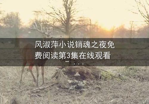 风淑萍小说销魂之夜免费阅读第3集在线观看 - 一场欲望与救赎的致命纠缠