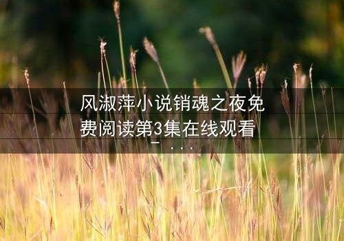 风淑萍小说销魂之夜免费阅读第3集在线观看 - 当欲望与秘密交织,谁能全身而退?
