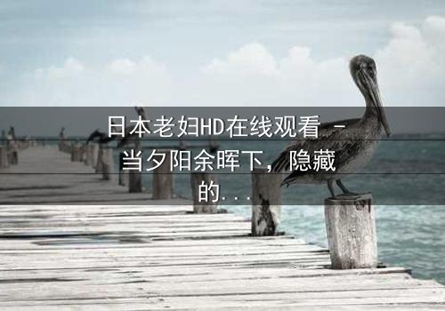 日本老妇HD在线观看 - 当夕阳余晖下,隐藏的禁忌秘密悄然浮现