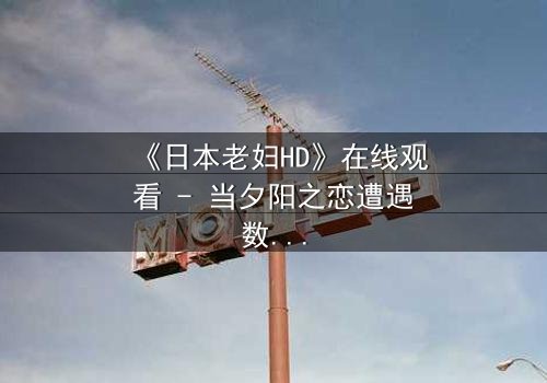 《日本老妇HD》在线观看 - 当夕阳之恋遭遇数字风暴,她如何用爱改写命运?