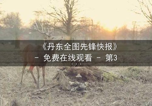 《丹东全图先锋快报》- 免费在线观看 - 第3集HD中字完整无删