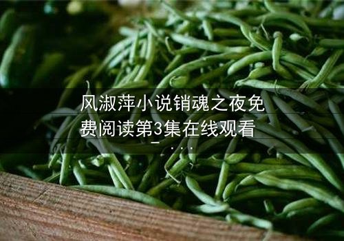 风淑萍小说销魂之夜免费阅读第3集在线观看 - 当欲望与秘密交织,谁将揭开真相?