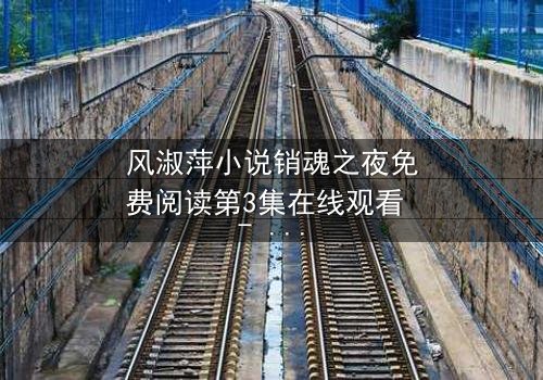 风淑萍小说销魂之夜免费阅读第3集在线观看 - 当欲望与秘密交织,谁将揭开真相?