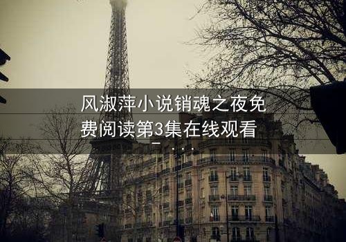 风淑萍小说销魂之夜免费阅读第3集在线观看 - 一场欲望与救赎的致命游戏