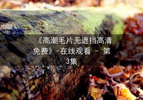 《高潮毛片无遮挡高清免费》-在线观看 - 第3集