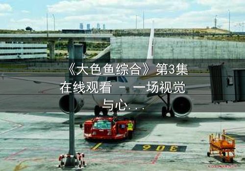 《大色鱼综合》第3集在线观看 - 一场视觉与心灵的震撼之旅