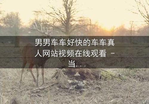 男男车车好快的车车真人网站视频在线观看 - 当速度与激情碰撞,禁忌之恋如何破局?