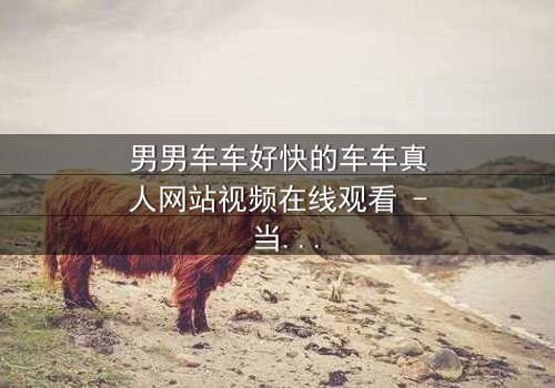 男男车车好快的车车真人网站视频在线观看 - 当速度与激情碰撞,隐藏的秘密即将引爆!
