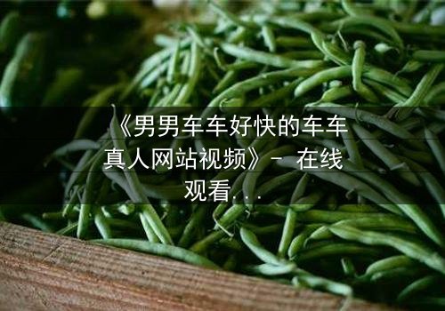《男男车车好快的车车真人网站视频》- 在线观看HD中字 - 当速度与情感碰撞,谁将失控?