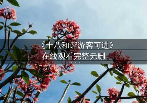 《十八和谐游客可进》- 在线观看完整无删 - 揭开和谐背后的惊天秘密