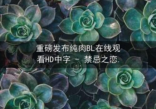 重磅发布纯肉BL在线观看HD中字 - 禁忌之恋引爆全网热议