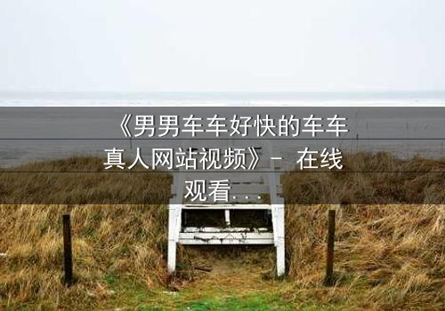《男男车车好快的车车真人网站视频》- 在线观看HD中字 - 当速度与激情碰撞禁忌之恋