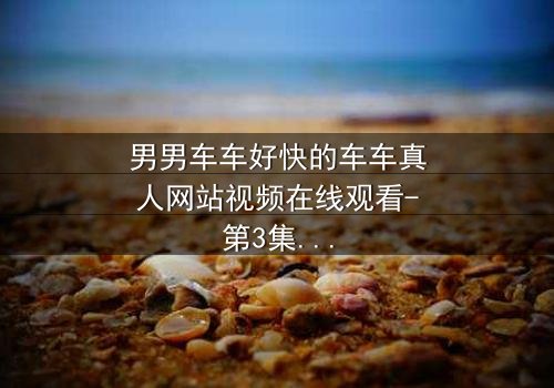 男男车车好快的车车真人网站视频在线观看-第3集 - 当速度与激情碰撞,谁将揭开隐藏的真相?