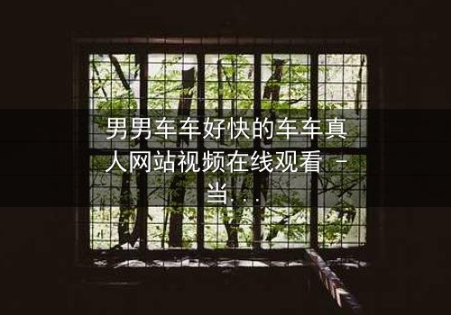 男男车车好快的车车真人网站视频在线观看 - 当速度与激情碰撞禁忌之恋,谁将掌控方向盘?