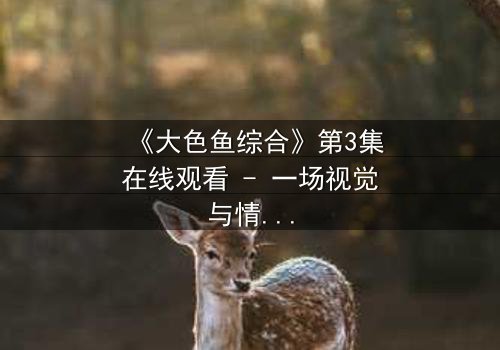 《大色鱼综合》第3集在线观看 - 一场视觉与情感的极限冒险