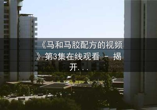 《马和马胶配方的视频》第3集在线观看 - 揭开配方背后的惊天秘密