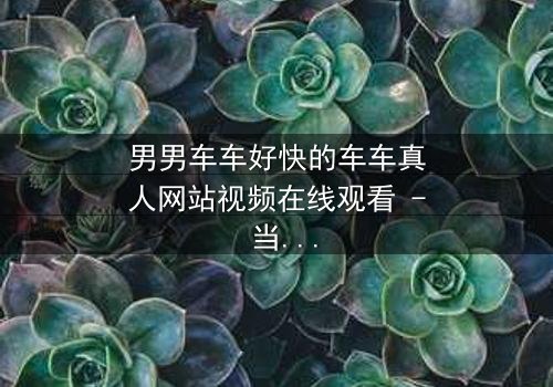 男男车车好快的车车真人网站视频在线观看 - 当速度与激情碰撞禁忌之恋,谁能逃脱命运的追逐?