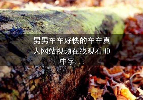 男男车车好快的车车真人网站视频在线观看HD中字 - 当速度与激情碰撞,禁忌之恋如何破局?