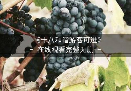 《十八和谐游客可进》- 在线观看完整无删 - 揭开禁忌之旅的惊天秘密