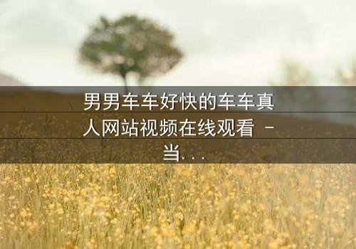 男男车车好快的车车真人网站视频在线观看 - 当速度与激情碰撞,谁将揭开真相?