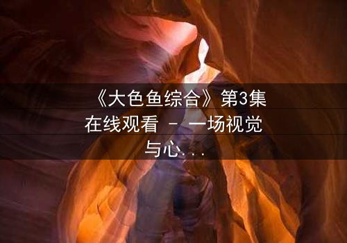 《大色鱼综合》第3集在线观看 - 一场视觉与心灵的震撼之旅