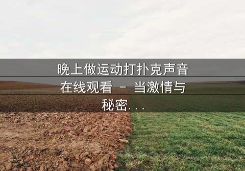 晚上做运动打扑克声音在线观看 - 当激情与秘密交织,谁能全身而退?