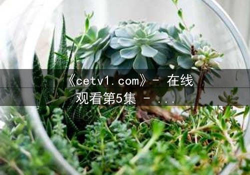 《cetv1.com》- 在线观看第5集 - 当秘密揭开,谁还能全身而退?