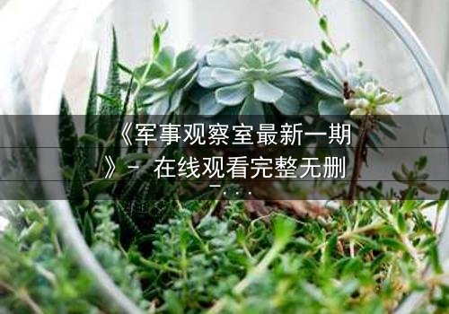 《军事观察室最新一期》- 在线观看完整无删 - 揭开绝密档案背后的惊天真相