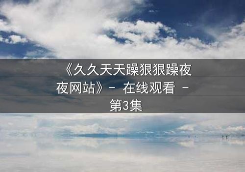 《久久天天躁狠狠躁夜夜网站》- 在线观看 - 第3集