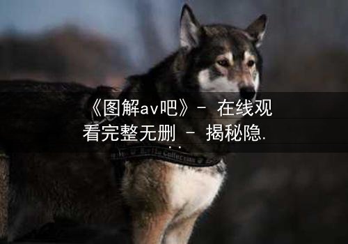 《图解av吧》- 在线观看完整无删 - 揭秘隐藏的欲望与救赎