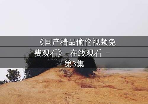 《国产精品偷伦视频免费观看》-在线观看 - 第3集