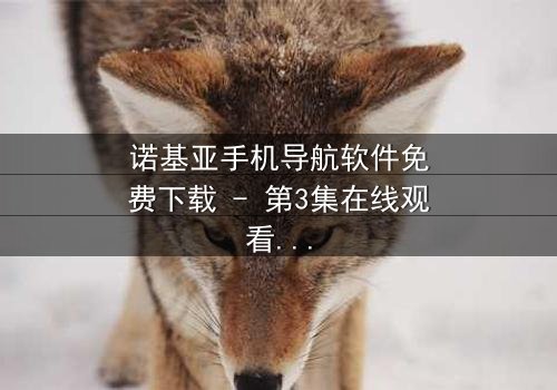 诺基亚手机导航软件免费下载 - 第3集在线观看 - 当导航成为生存的唯一线索