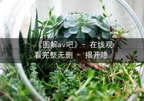 《图解av吧》- 在线观看完整无删 - 揭开隐藏的真相