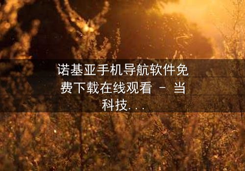 诺基亚手机导航软件免费下载在线观看 - 当科技导航成为生死抉择的钥匙