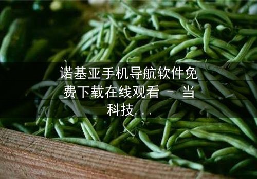 诺基亚手机导航软件免费下载在线观看 - 当科技背叛,谁能指引迷失的灵魂?