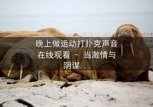 晚上做运动打扑克声音在线观看 - 当激情与阴谋在深夜交织,谁在暗中操控一切?