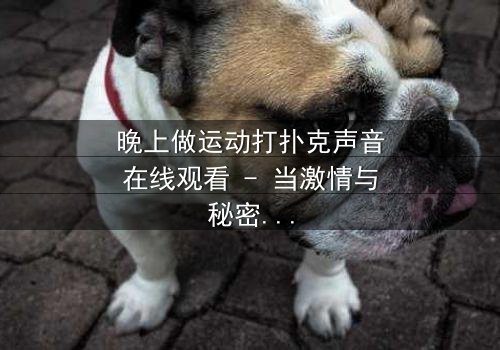 晚上做运动打扑克声音在线观看 - 当激情与秘密交织,谁能全身而退?