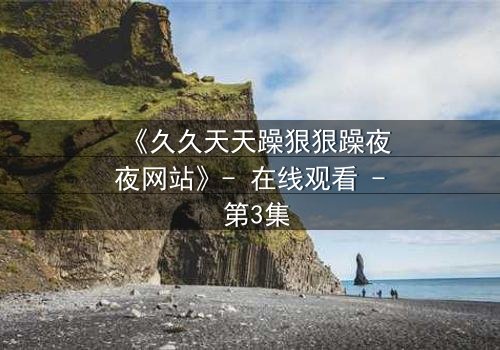 《久久天天躁狠狠躁夜夜网站》- 在线观看 - 第3集