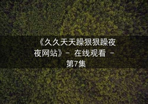 《久久天天躁狠狠躁夜夜网站》- 在线观看 - 第7集