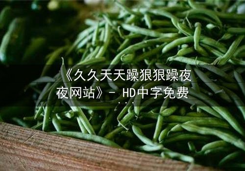 《久久天天躁狠狠躁夜夜网站》- HD中字免费 - 第3集完整无删