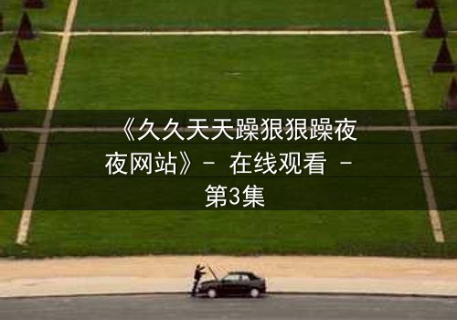 《久久天天躁狠狠躁夜夜网站》- 在线观看 - 第3集