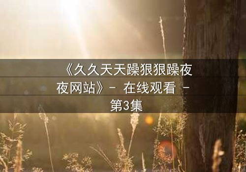 《久久天天躁狠狠躁夜夜网站》- 在线观看 - 第3集