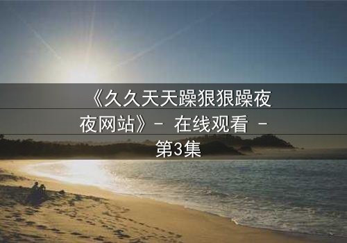 《久久天天躁狠狠躁夜夜网站》- 在线观看 - 第3集