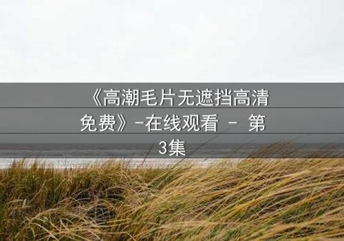 《高潮毛片无遮挡高清免费》-在线观看 - 第3集