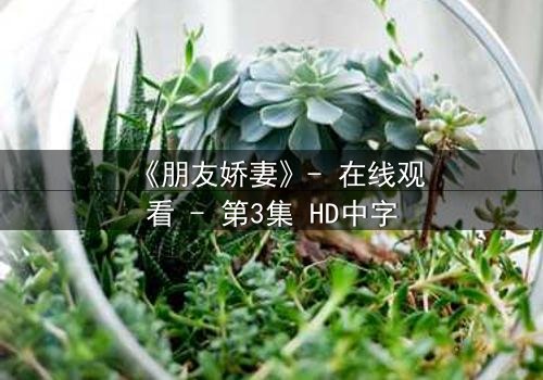 《朋友娇妻》- 在线观看 - 第3集 HD中字